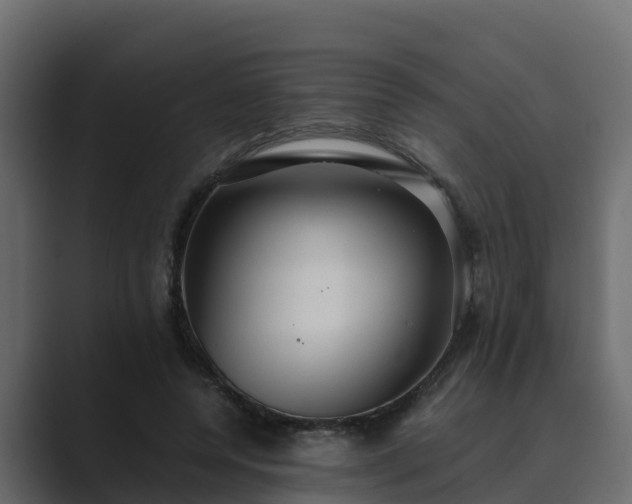 X0000089670544200706281341