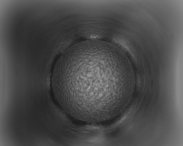 X0000089670545200706281341