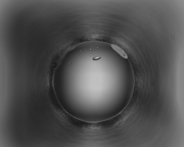 X0000089670546200706281341