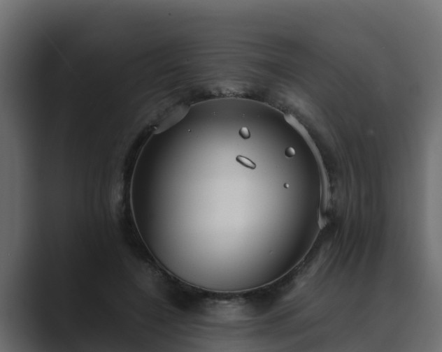 X0000089670548200706281341
