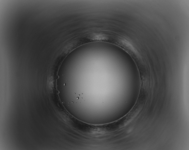X0000089670549200706281341