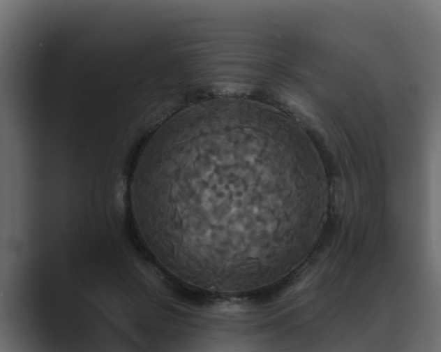X0000089670550200706281341