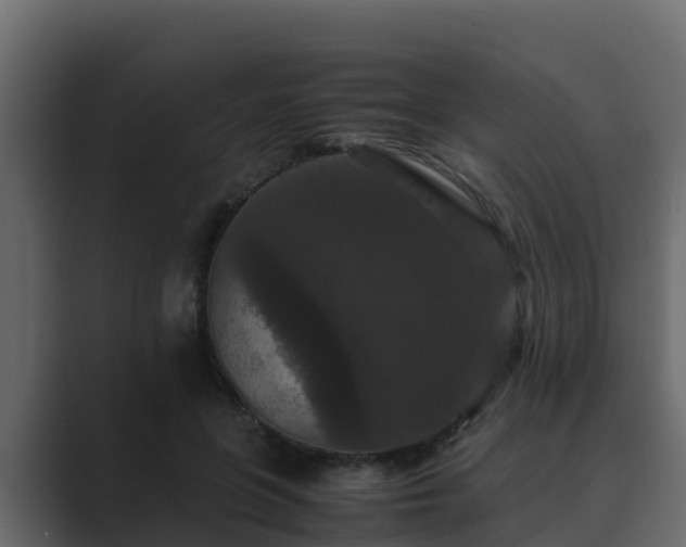 X0000089670551200706281341