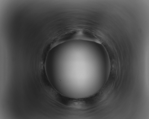 X0000089670555200706281341