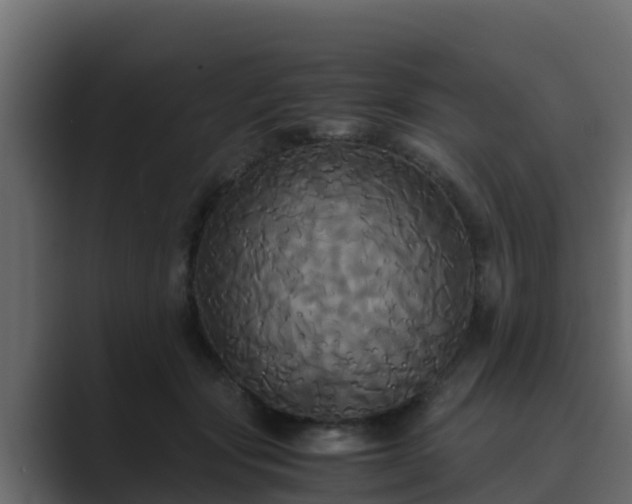 X0000089670557200706281341
