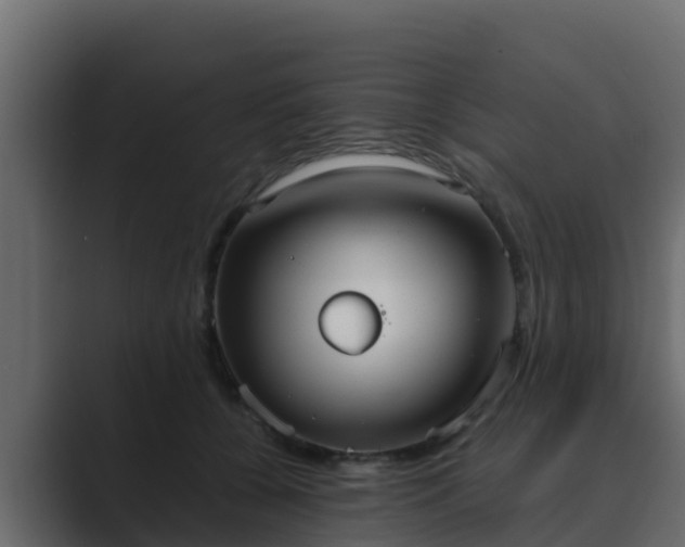 X0000089670560200706281341