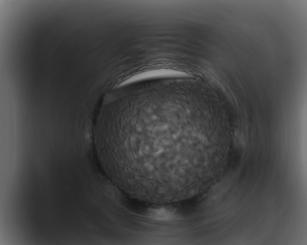 X0000089670561200706281341
