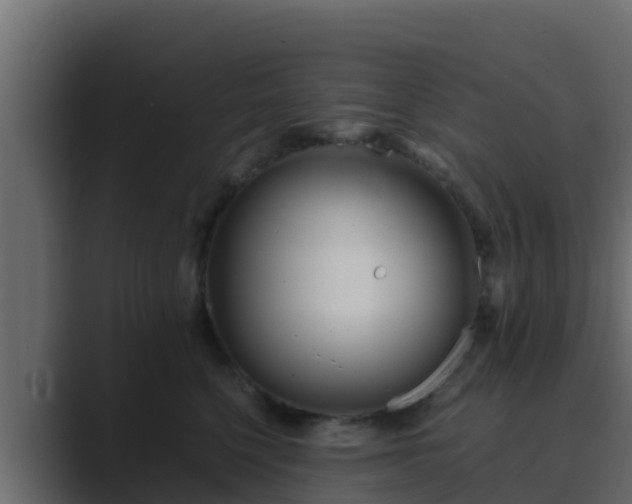 X0000089670568200706281341