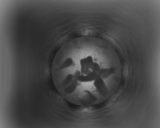 X0000089670569200706281341
