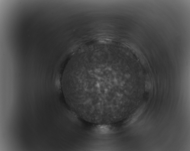 X0000089670573200706281341
