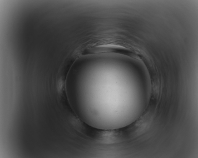 X0000089670574200706281341