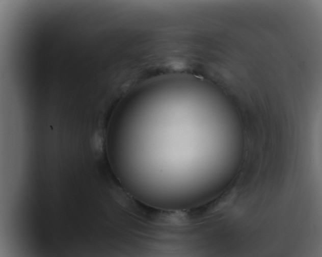 X0000089670576200706281341
