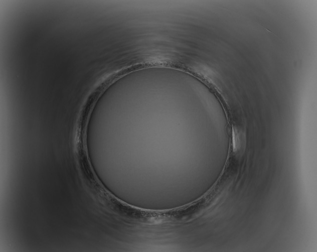 X0000089670579200706281341