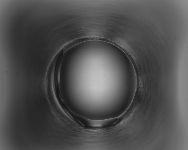 X0000089670580200706281341