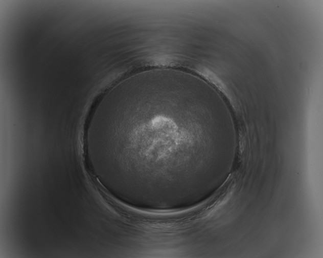 X0000089670581200706281341