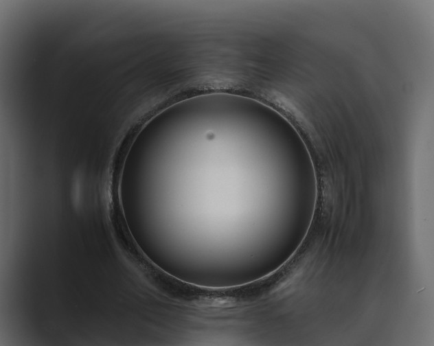 X0000089670582200706281341