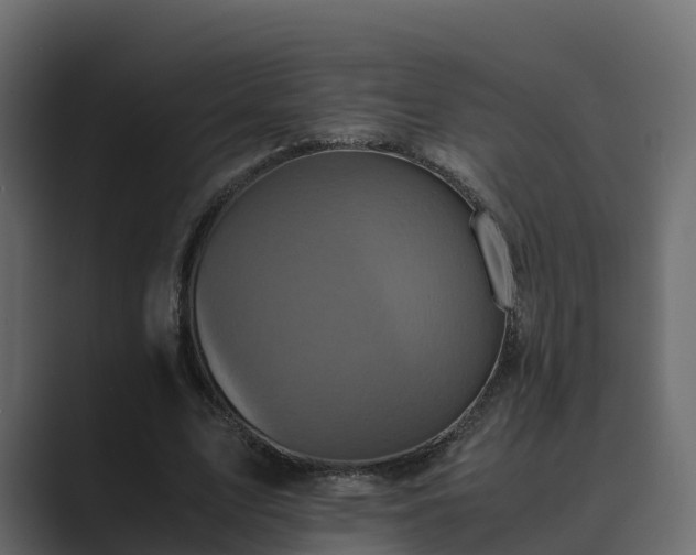 X0000089670583200706281341