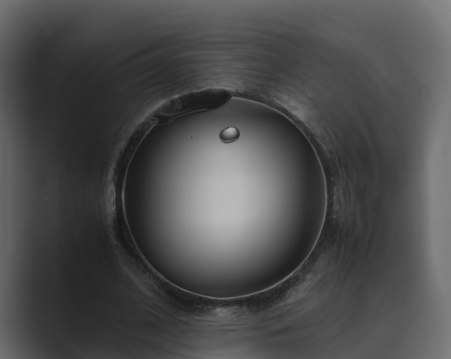 X0000089670584200706281341
