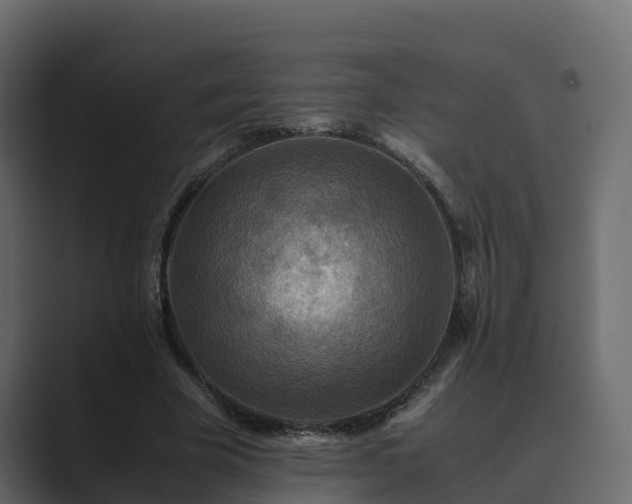 X0000089670585200706281341