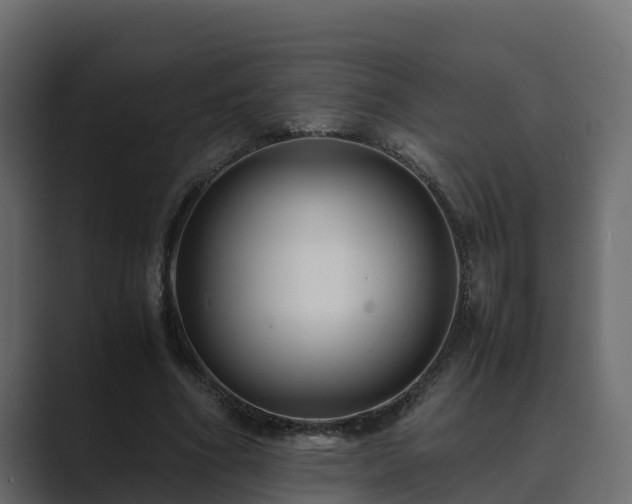 X0000089670586200706281341
