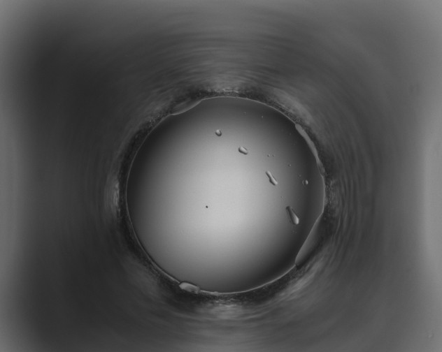 X0000089670589200706281341