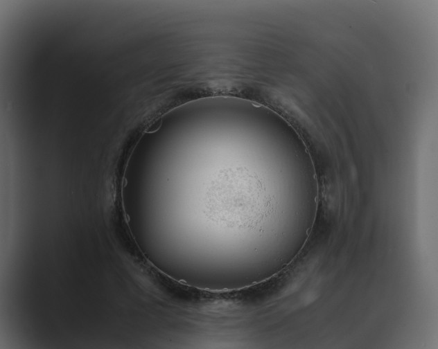 X0000089670593200706281341