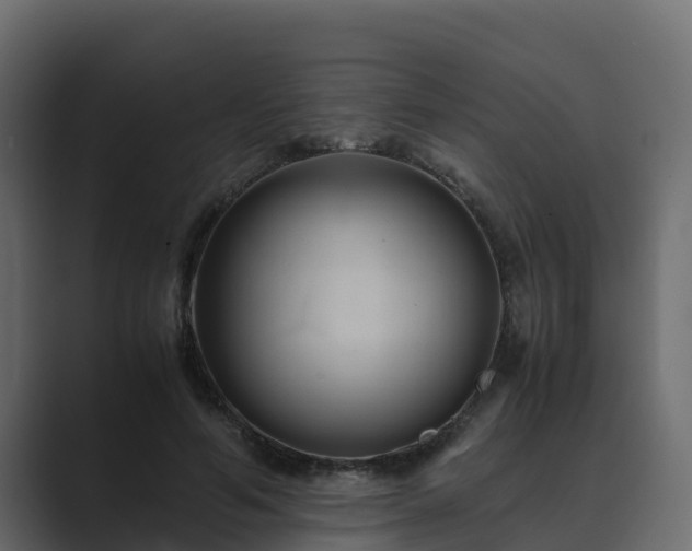 X0000089670594200706281341