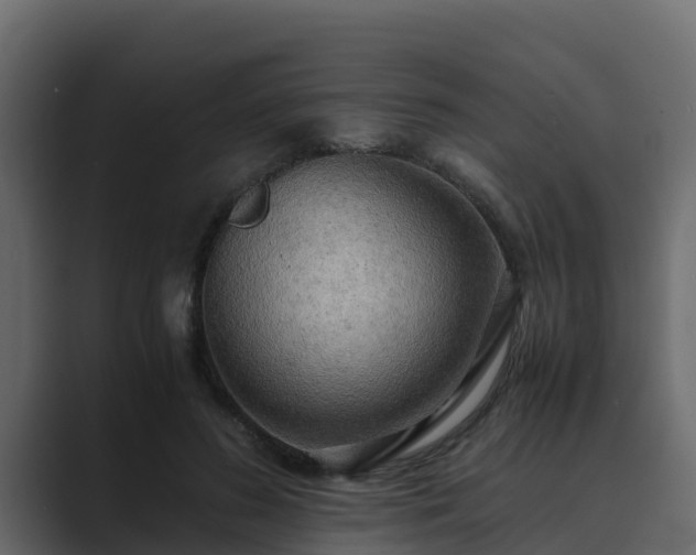 X0000089670596200706281341