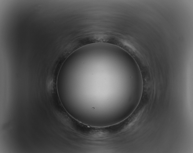 X0000089670597200706281341