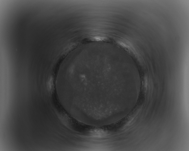 X0000089670598200706281341