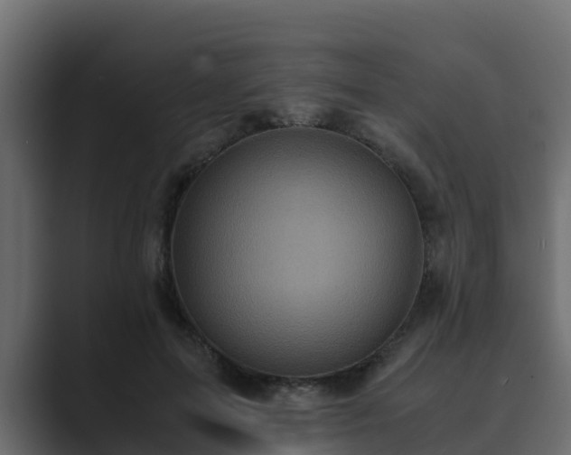 X0000089670599200706281341