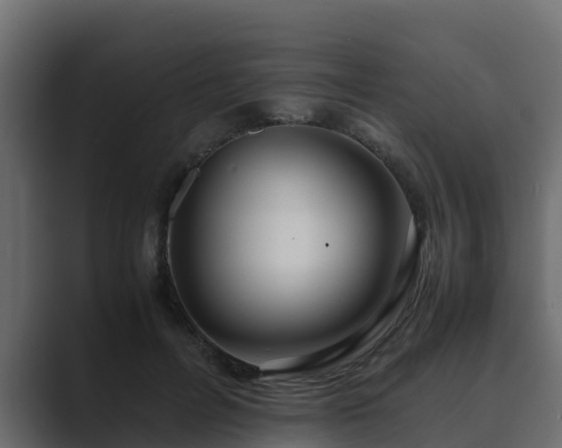 X0000089670600200706281341