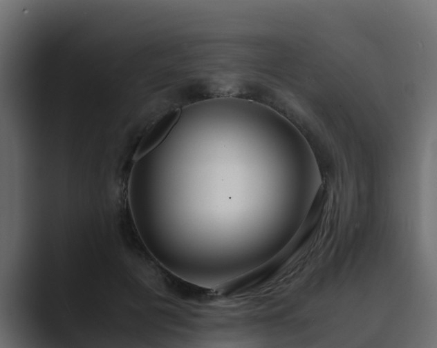 X0000089670601200706281341