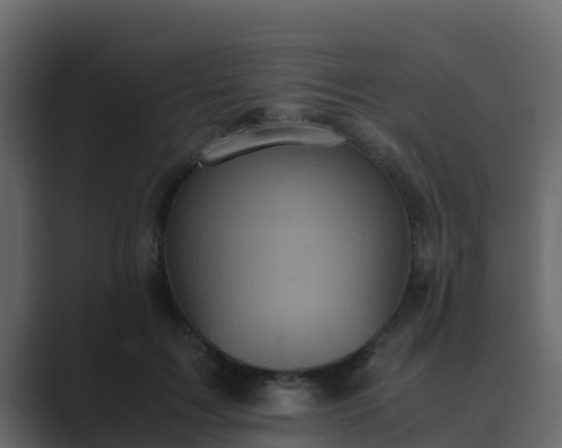X0000089670603200706281341