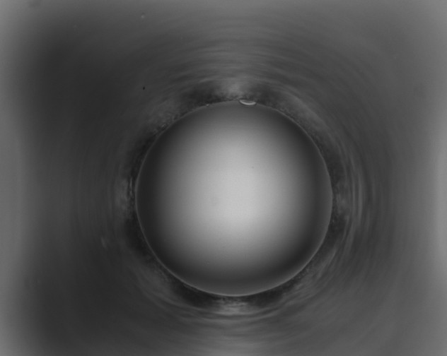 X0000089670605200706281341