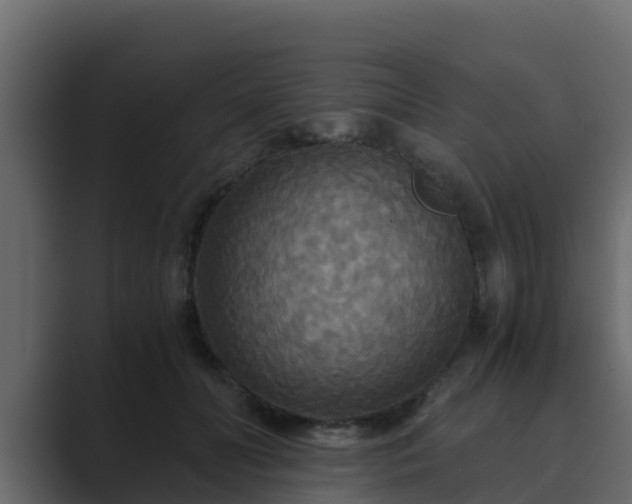 X0000089670606200706281341