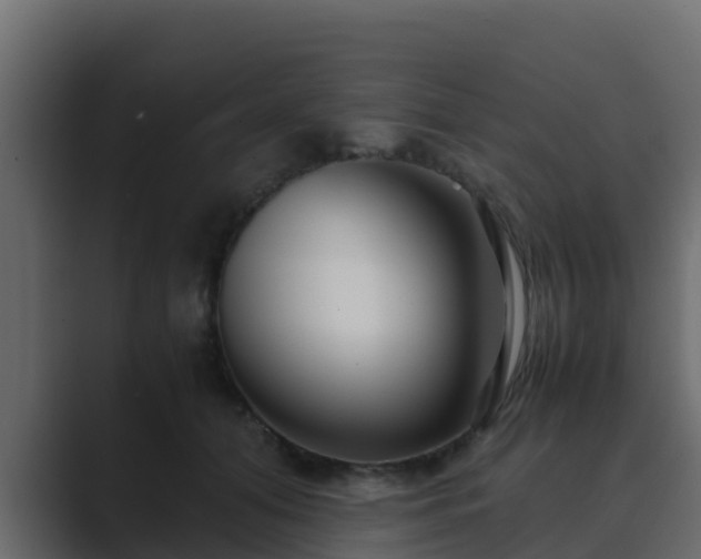 X0000089670608200706281340