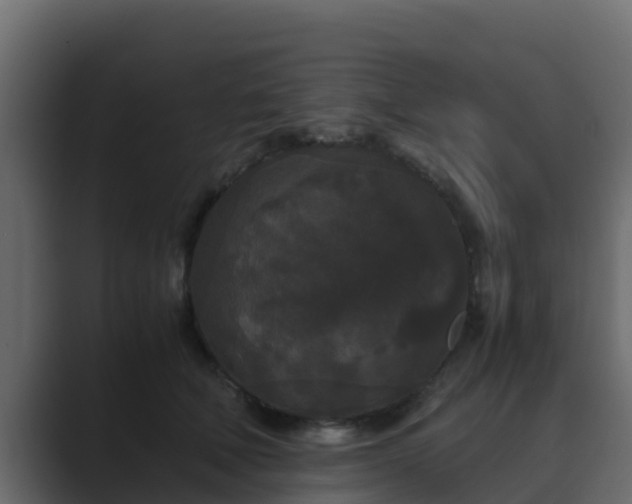 X0000089670610200706281340