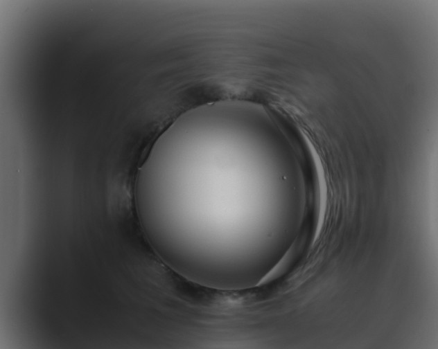 X0000089670613200706281340
