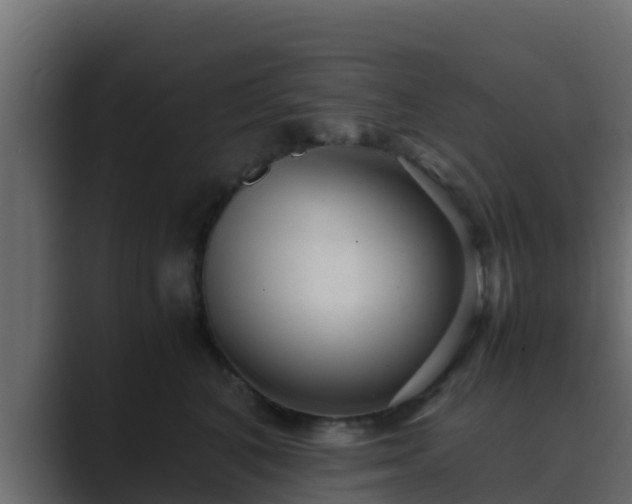 X0000089670616200706281340