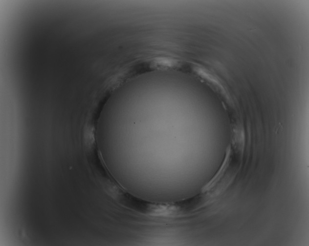 X0000089670621200706281340