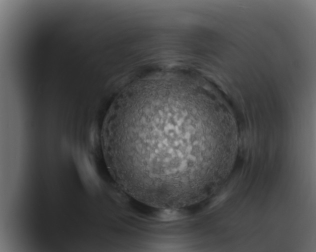 X0000089670623200706281340