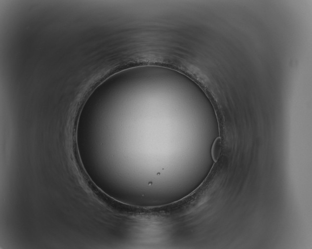 X0000089670625200706281340