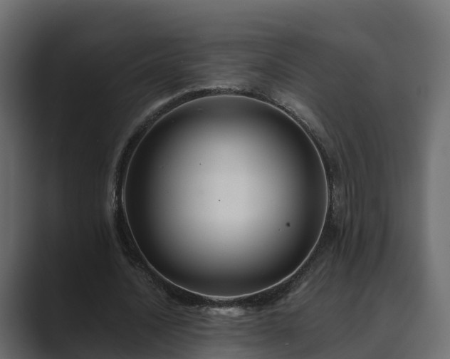 X0000089670628200706281340