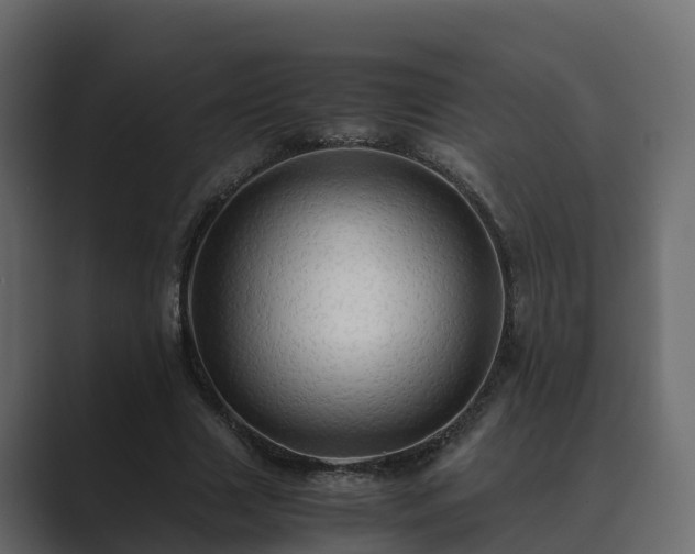 X0000089670633200706281340