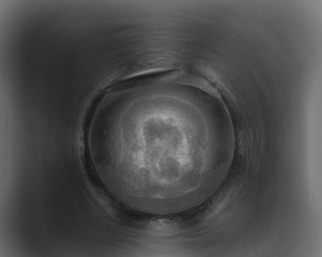 X0000089670634200706281340