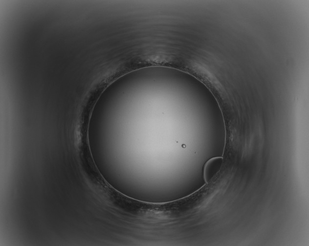 X0000089670635200706281340