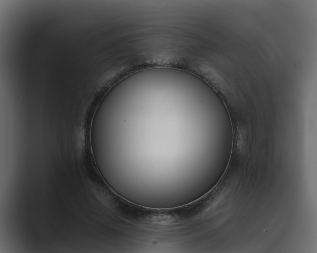 X0000089670636200706281340