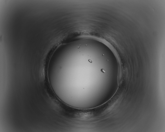 X0000089670638200706281340