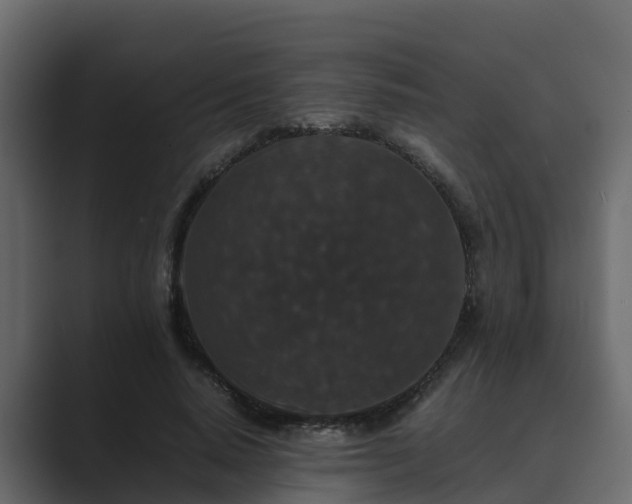 X0000089670640200706281340